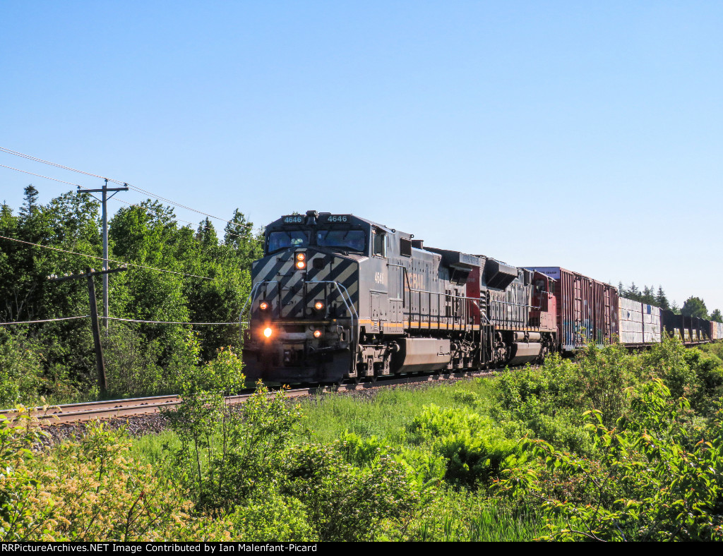 BCOL 4646 leads 403 at Havre Street